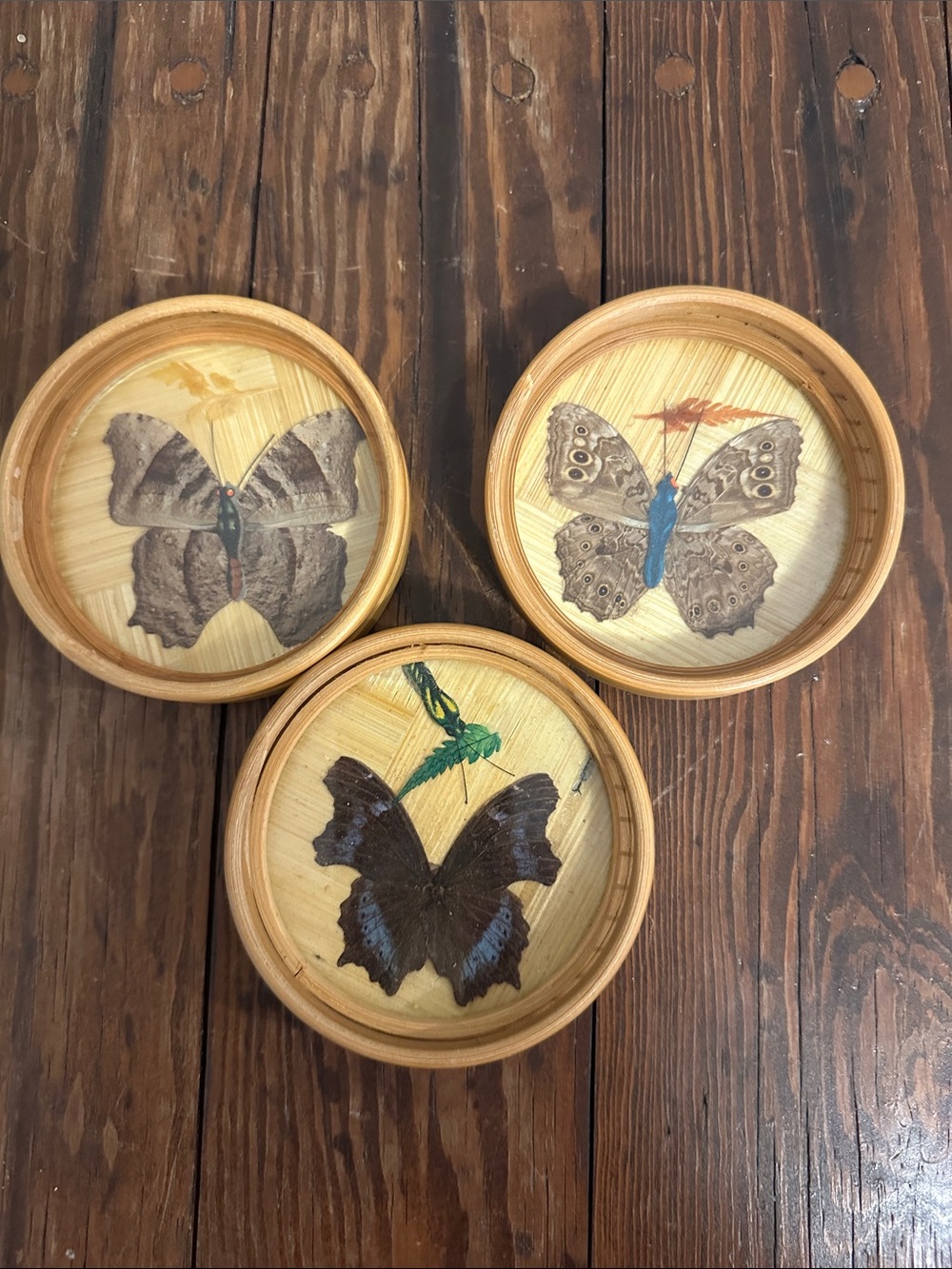 Handcrafted Wooden Butterfly Coasters Trio in Natural and Brown